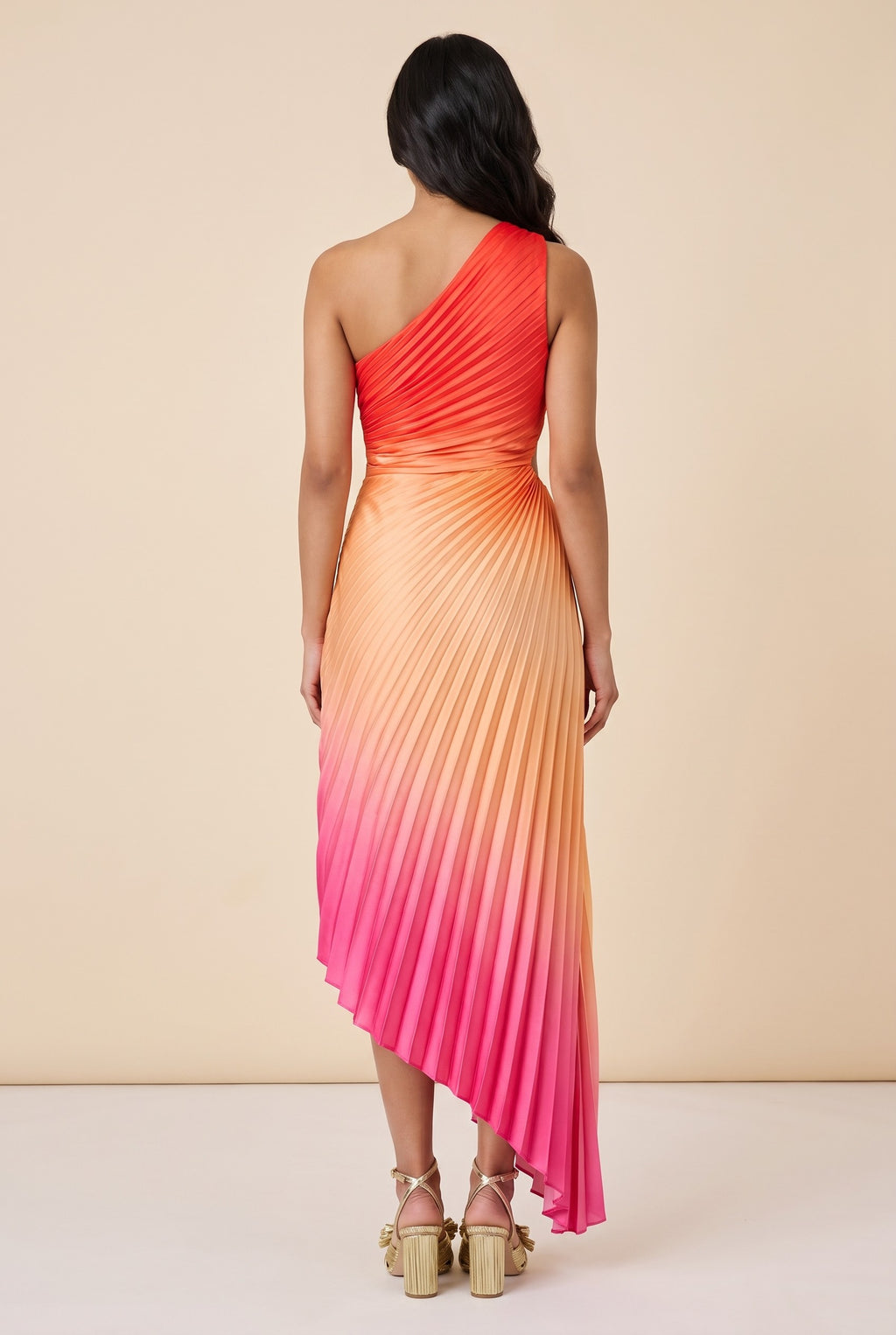 Back view of the hibiscus ombre one shoulder pleated maxi dress.