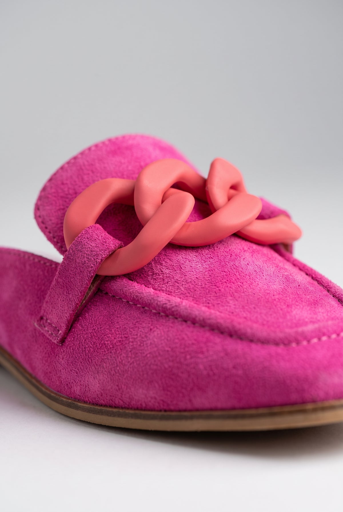 Charlotte Mules, Fuchsia close-up