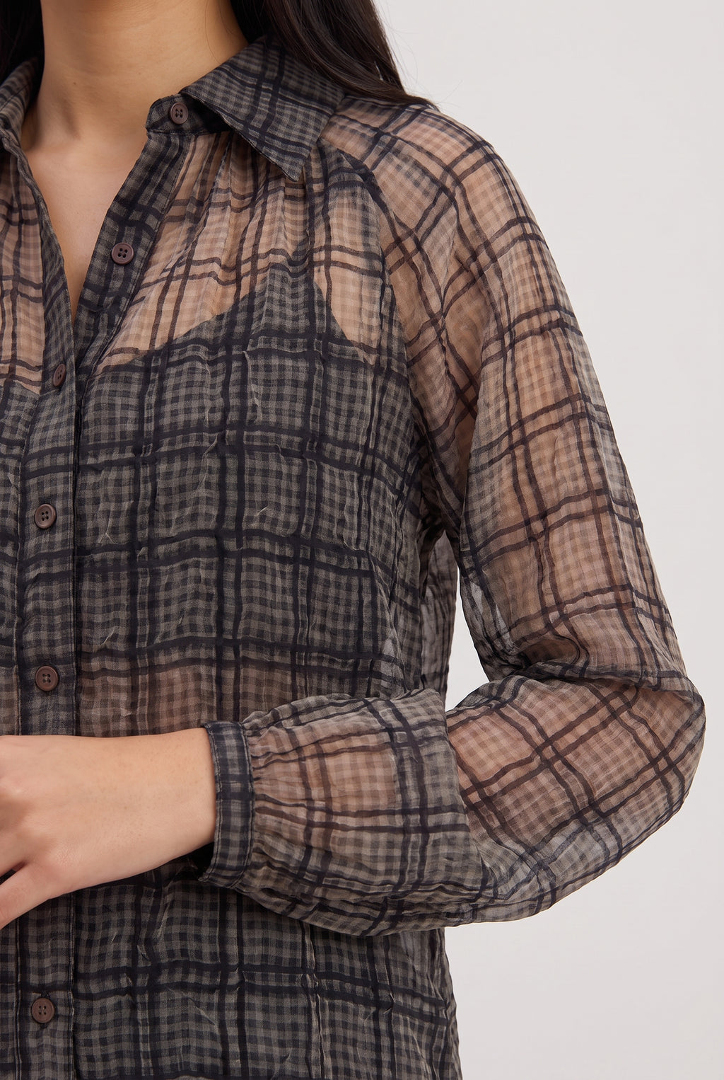 Just Looking Sheer Plaid Button-Up Blouse, Close-up
